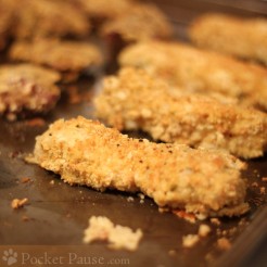 fishstick1