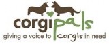 corgipalsbanner