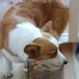 IMG_5046
