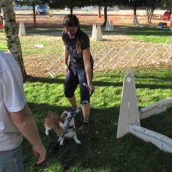Flyball1
