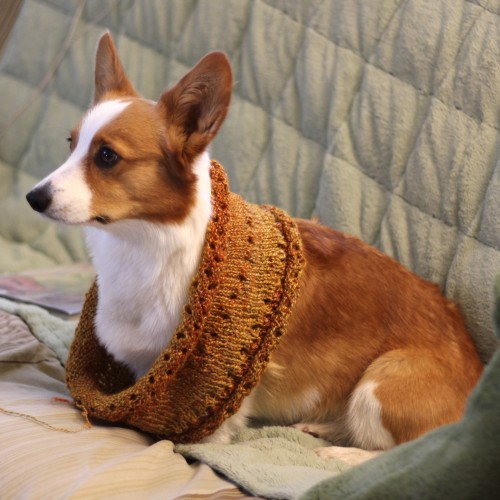 pocket cowl