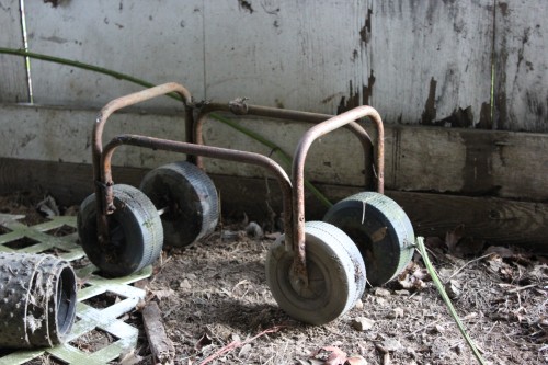 whoknowswhat with wheels