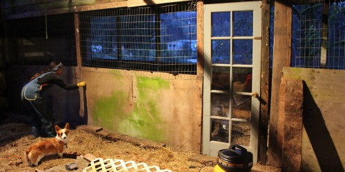 My New Rabbitry - in Progress