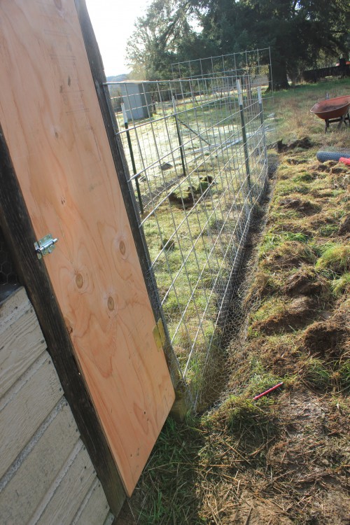 Fort Knox? Keeping Predators Out of my Chicken Run